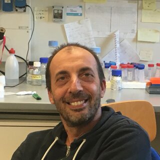 Stefano Farioli Vecchioli